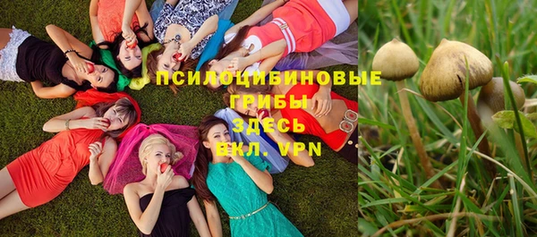 МДПВ Каменск-Шахтинский