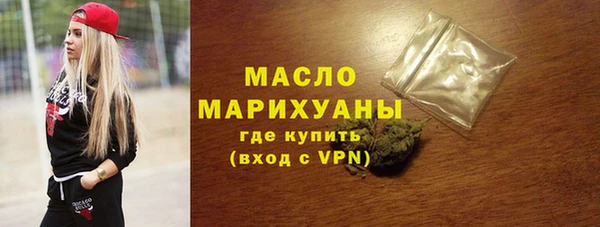 мдпв Каменка