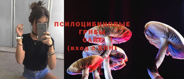 трава Инта