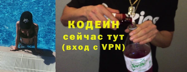 трава Инта