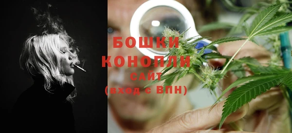 трава Инта