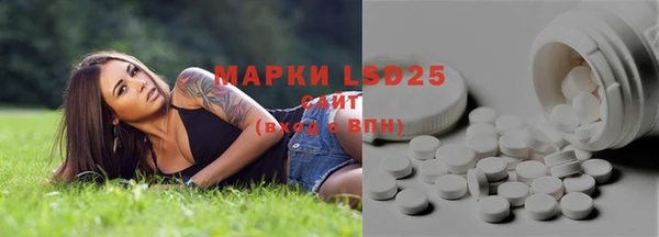 трава Инта