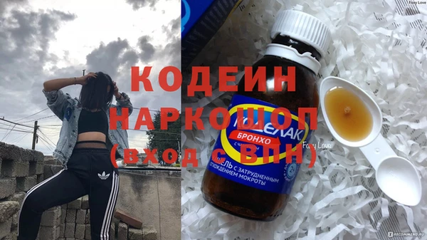 трава Инта