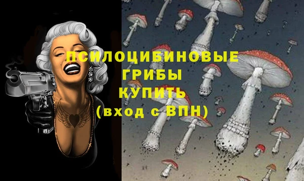 прущая мука Зеленокумск