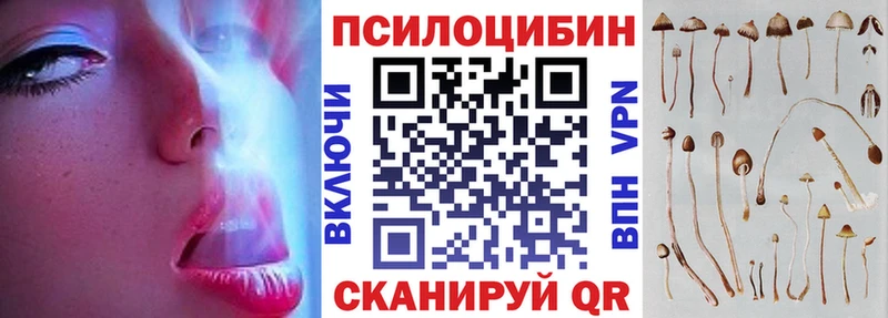 Галлюциногенные грибы Psilocybine cubensis  гидра как зайти  Купино 